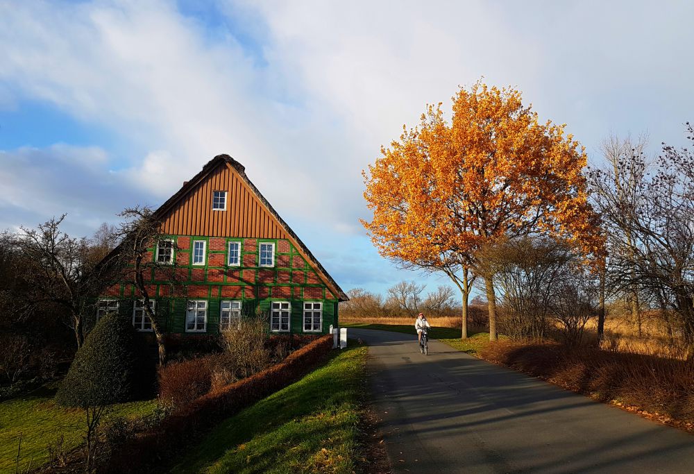 Das schiefe Haus. Wümmedeich im Blockland