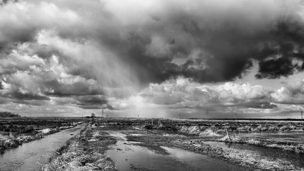 Herbsttag im Blockland