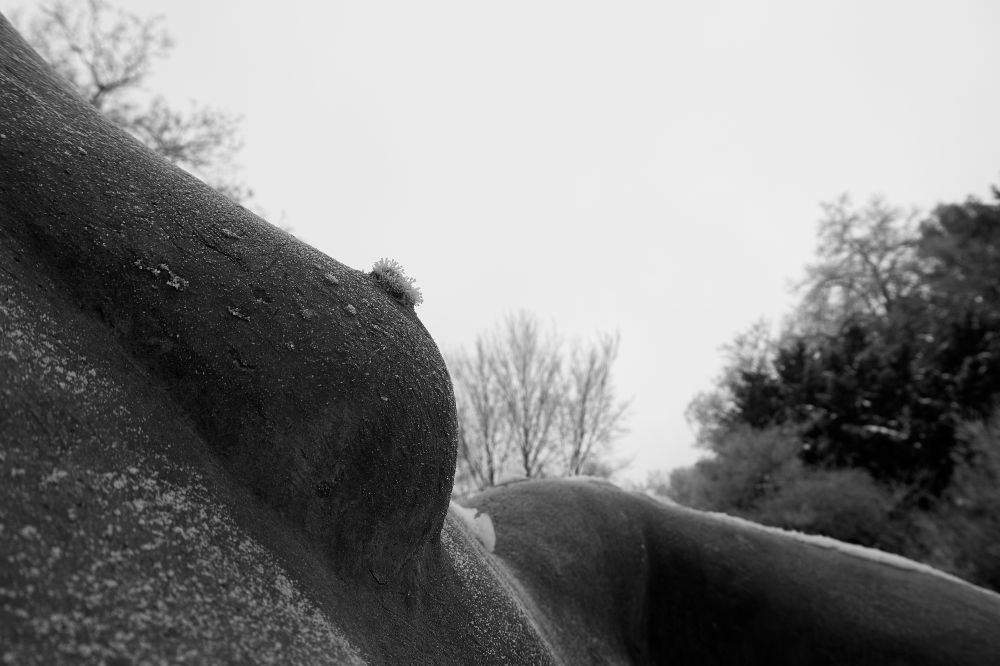 Aegina (Gerhard Marcks) Theatergarten Am Wall