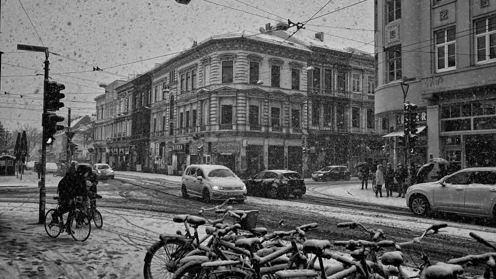 Sielwall im Schneetreiben