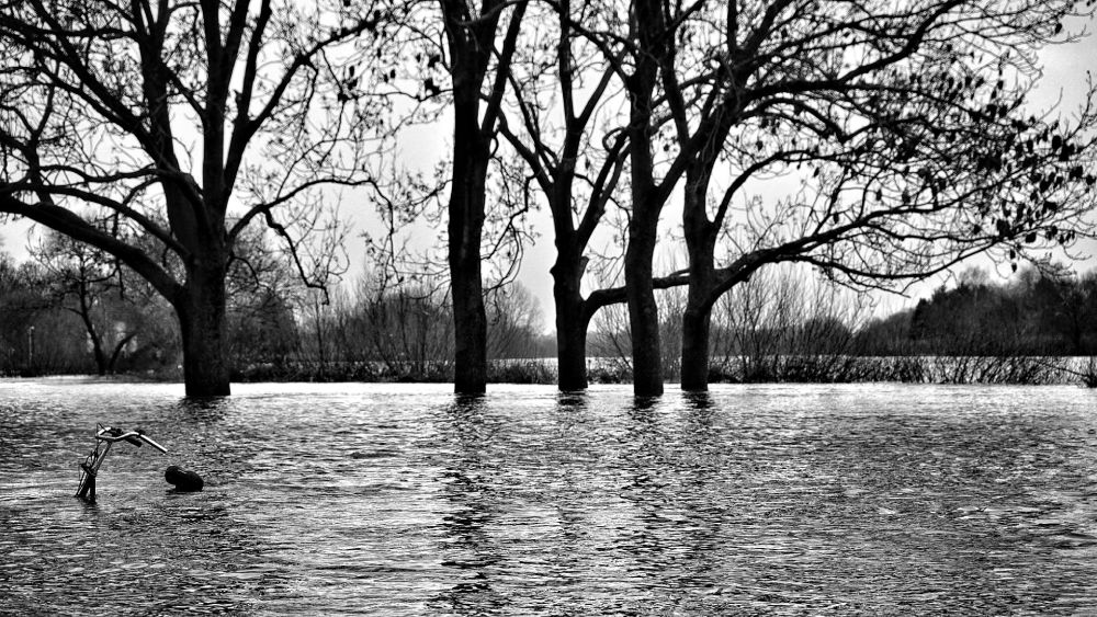 Hochwasser am Weserstadion, Osterdeich Bremen